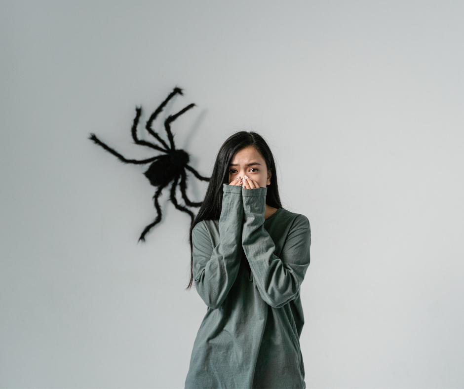 Peurs et Phobies Hypnose Luxembourg peurs-phobies-hypnose